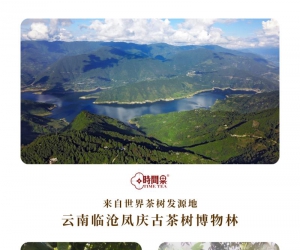 ������һ��ʱ������������裬�ȳ����³����Ĵ���